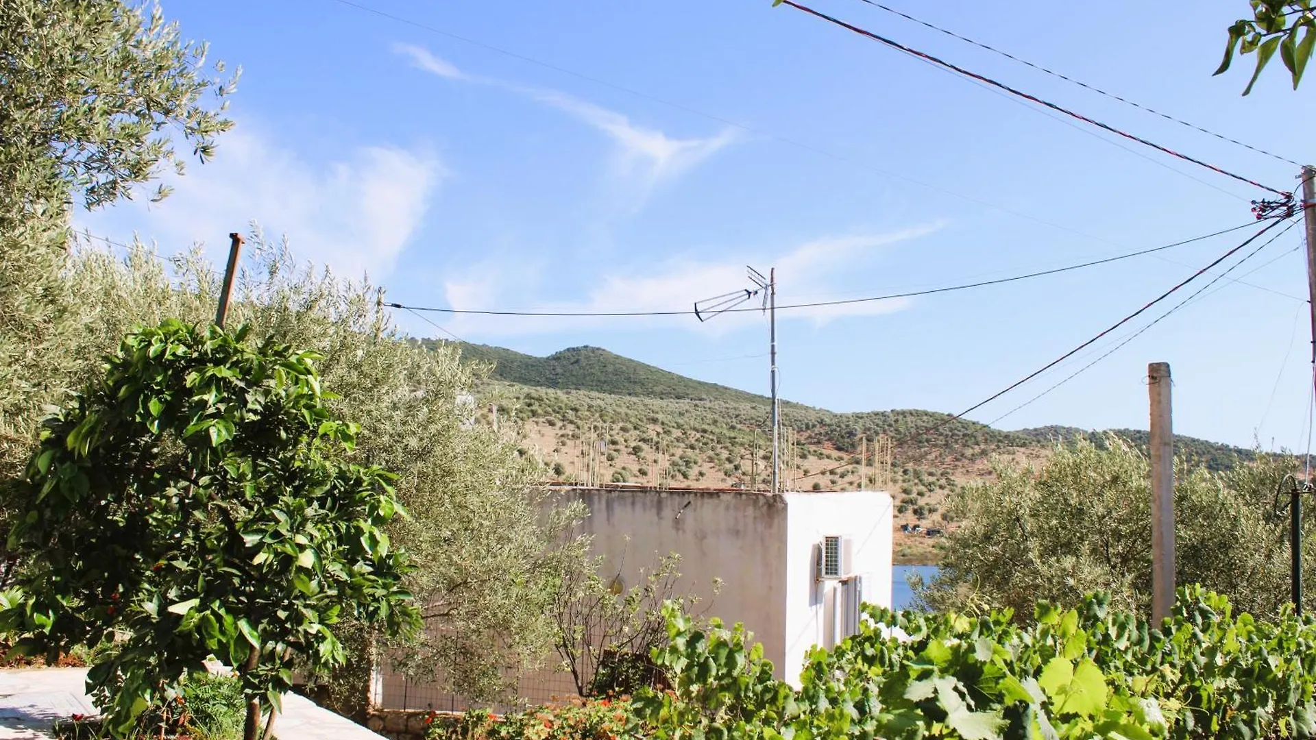 Keli Apartments Ksamil 0*,